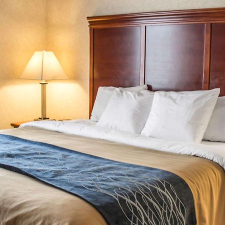 Comfort Inn & Suites Kent - University Area Dış mekan fotoğraf