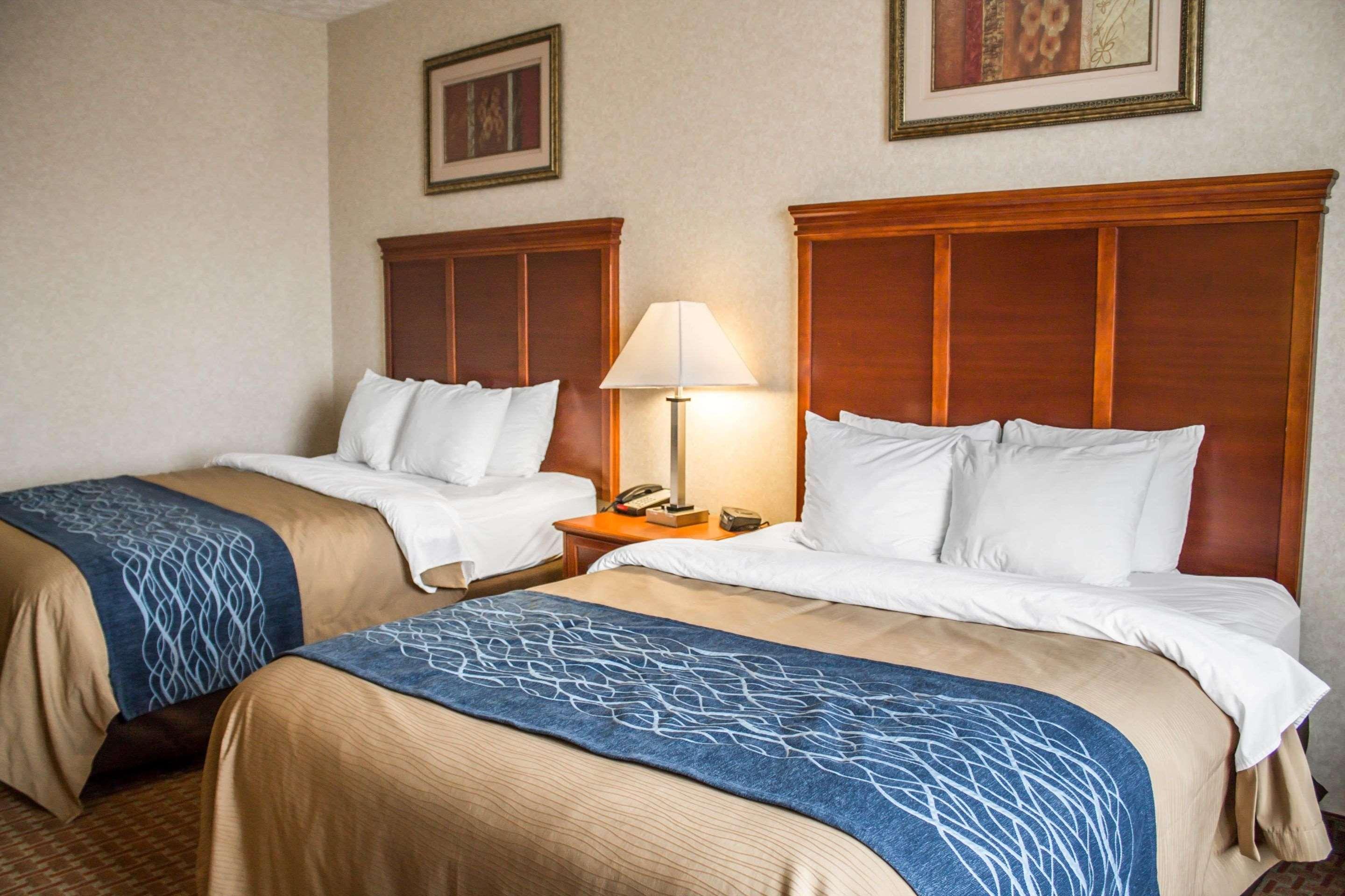 Comfort Inn & Suites Kent - University Area Dış mekan fotoğraf